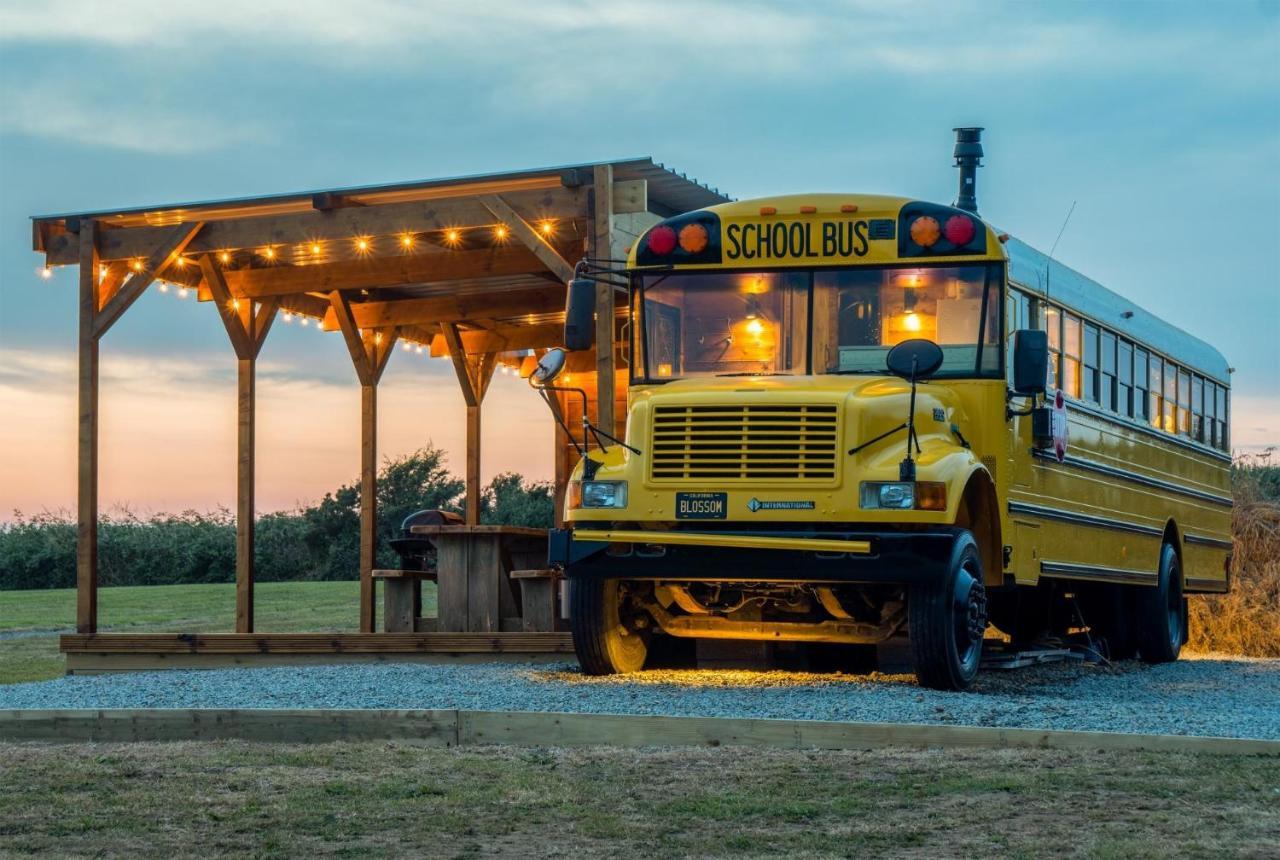 American School Bus - 1 Bedroom - Blossom Farm - Tiers Cross Johnston ภายนอก รูปภาพ