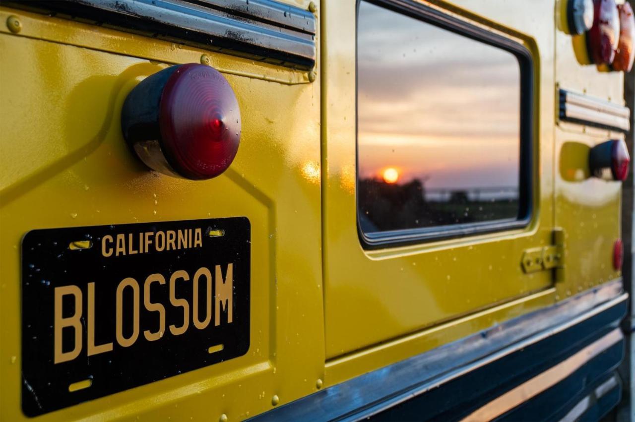 American School Bus - 1 Bedroom - Blossom Farm - Tiers Cross Johnston ภายนอก รูปภาพ